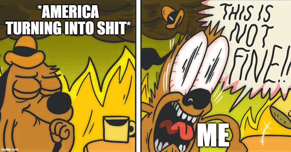 This is not fine | *AMERICA TURNING INTO SHIT* ME | image tagged in this is not fine | made w/ Imgflip meme maker