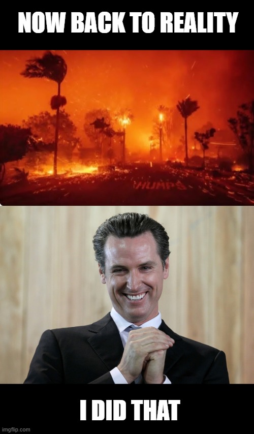 NOW BACK TO REALITY I DID THAT | image tagged in la fires 2025,scheming gavin newsom | made w/ Imgflip meme maker