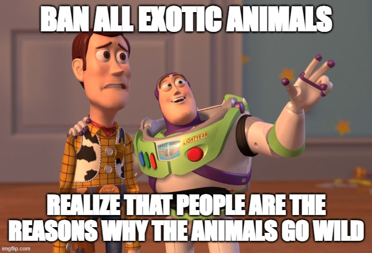 those crazy humans | BAN ALL EXOTIC ANIMALS; REALIZE THAT PEOPLE ARE THE REASONS WHY THE ANIMALS GO WILD | image tagged in memes,x x everywhere | made w/ Imgflip meme maker