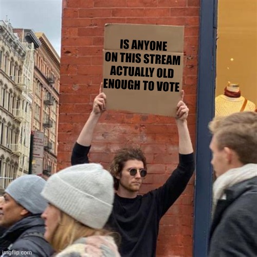 A remake of an old favorite | IS ANYONE ON THIS STREAM ACTUALLY OLD ENOUGH TO VOTE | image tagged in man holding cardboard sign | made w/ Imgflip meme maker