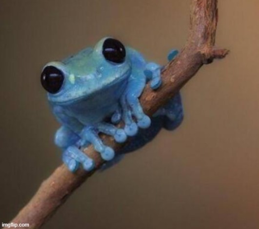 what a goober. i hope he doesn't becomes evil | made w/ Imgflip meme maker