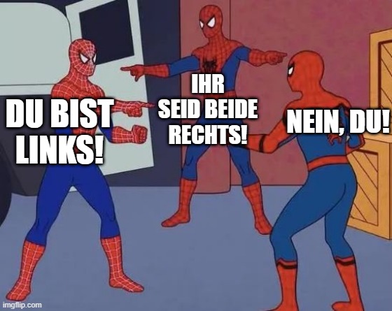 3 Spiderman Pointing | IHR SEID BEIDE RECHTS! NEIN, DU! DU BIST LINKS! | image tagged in 3 spiderman pointing | made w/ Imgflip meme maker