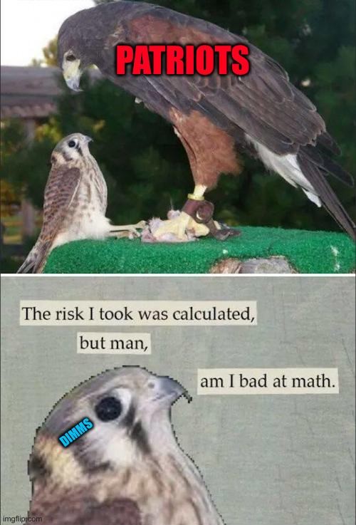 Squawking Intensifies ! | DIMMS PATRIOTS | image tagged in the risk i took was calculated but man am i bad at math,political meme,politics,funny memes,funny | made w/ Imgflip meme maker