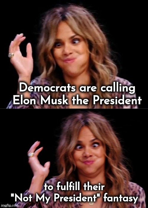 Lovely Halle Berry | Democrats are calling Elon Musk the President to fulfill their "Not My President" fantasy | image tagged in lovely halle berry | made w/ Imgflip meme maker