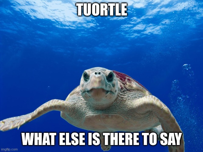 im hungry | TUORTLE; WHAT ELSE IS THERE TO SAY | image tagged in weird little tuortle,nothing | made w/ Imgflip meme maker