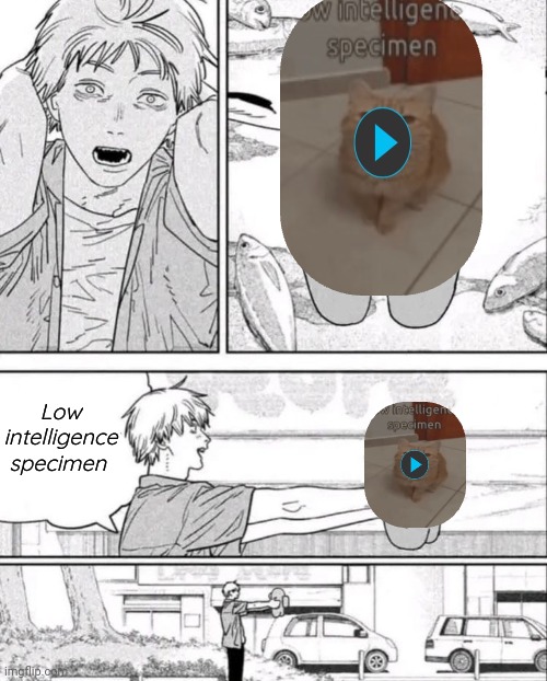 Amogus! | Low intelligence specimen | image tagged in amogus | made w/ Imgflip meme maker