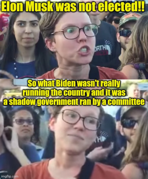 Leftists are hilariously sad | Elon Musk was not elected!! So what Biden wasn't really running the country and it was a shadow government ran by a committee | image tagged in two faced liberal snowflake,elon musk,joe biden,leftists,woke,donald trump | made w/ Imgflip meme maker