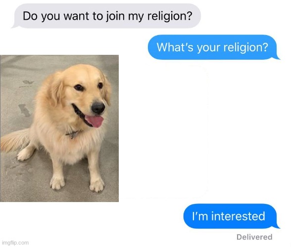 whats your religion | image tagged in whats your religion | made w/ Imgflip meme maker