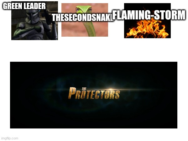 protectors of imgflip | THESECONDSNAKE; GREEN LEADER; FLAMING-STORM | made w/ Imgflip meme maker