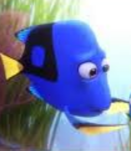 Receeded hairline ah fish Blank Meme Template