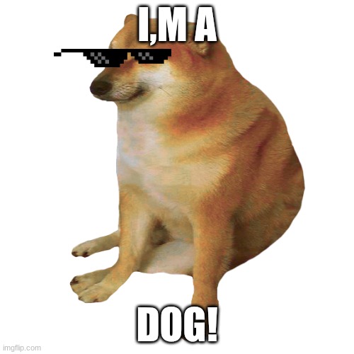 dog | I,M A; DOG! | image tagged in cheems | made w/ Imgflip meme maker