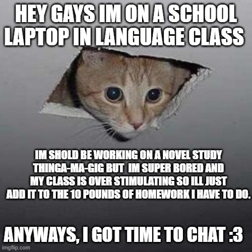 no title is able to load | HEY GAYS IM ON A SCHOOL LAPTOP IN LANGUAGE CLASS; IM SHOLD BE WORKING ON A NOVEL STUDY THINGA-MA-GIG BUT  IM SUPER BORED AND MY CLASS IS OVER STIMULATING SO ILL JUST ADD IT TO THE 10 POUNDS OF HOMEWORK I HAVE TO DO. ANYWAYS, I GOT TIME TO CHAT :3 | image tagged in memes,ceiling cat | made w/ Imgflip meme maker