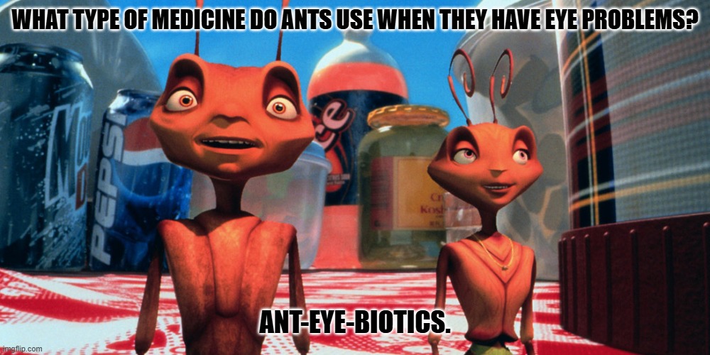 Bad Dad Joke February 21, 2025 | WHAT TYPE OF MEDICINE DO ANTS USE WHEN THEY HAVE EYE PROBLEMS? ANT-EYE-BIOTICS. | image tagged in antz | made w/ Imgflip meme maker