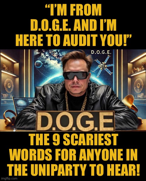 Elon’s coming, you’d better hide your books! | “I’M FROM D.O.G.E. AND I’M HERE TO AUDIT YOU!”; THE 9 SCARIEST WORDS FOR ANYONE IN THE UNIPARTY TO HEAR! | image tagged in elon musk | made w/ Imgflip meme maker