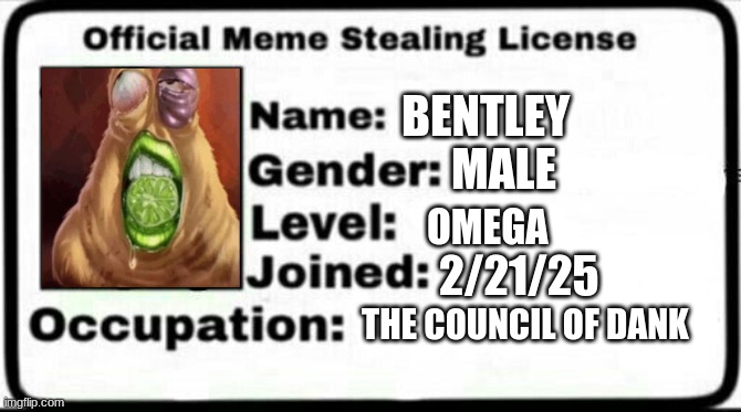 Meme Stealing License | BENTLEY; MALE; OMEGA; 2/21/25; THE COUNCIL OF DANK | image tagged in meme stealing license | made w/ Imgflip meme maker