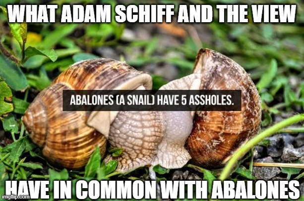 That's Schiff's Competition | WHAT ADAM SCHIFF AND THE VIEW; HAVE IN COMMON WITH ABALONES | image tagged in that's schiff's competition | made w/ Imgflip meme maker