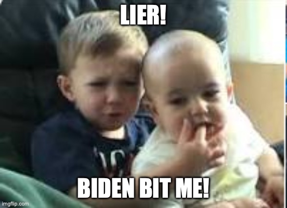 Charlie Bit My Finger | LIER! BIDEN BIT ME! | image tagged in charlie bit my finger | made w/ Imgflip meme maker