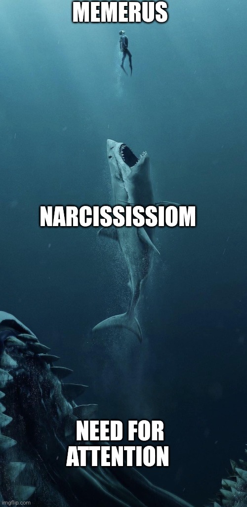 Bigger fish | MEMERUS NARCISSISSIOM NEED FOR ATTENTION | image tagged in bigger fish | made w/ Imgflip meme maker