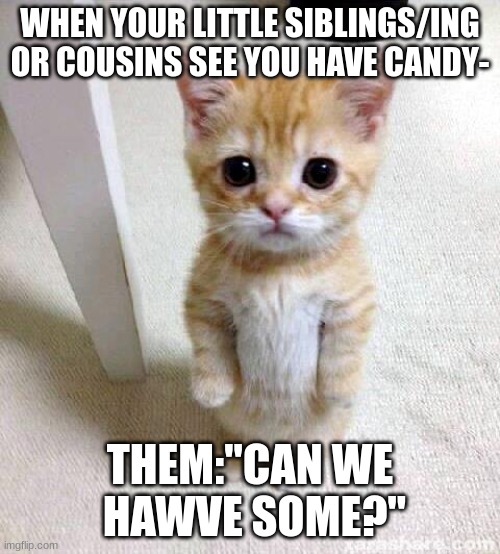 Cute Cat | WHEN YOUR LITTLE SIBLINGS/ING OR COUSINS SEE YOU HAVE CANDY-; THEM:"CAN WE  HAWVE SOME?" | image tagged in memes,cute cat | made w/ Imgflip meme maker