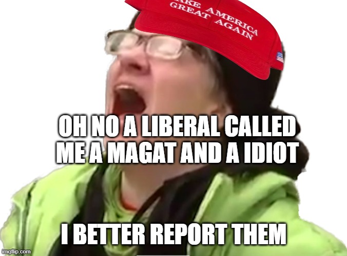 The Republican Party is full of snowflakes. There, I said it | OH NO A LIBERAL CALLED ME A MAGAT AND A IDIOT; I BETTER REPORT THEM | image tagged in screaming liberal,magats,womp womp donald domp,pathetic don,magats need a history lesson,cubarsi is the best cb in the world | made w/ Imgflip meme maker