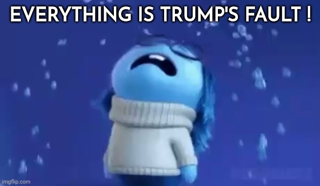 EVERYTHING IS TRUMP'S FAULT ! | made w/ Imgflip meme maker