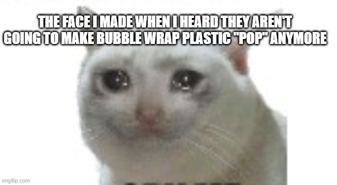 THE FACE I MADE WHEN I HEARD THEY AREN'T GOING TO MAKE BUBBLE WRAP PLASTIC "POP" ANYMORE | made w/ Imgflip meme maker