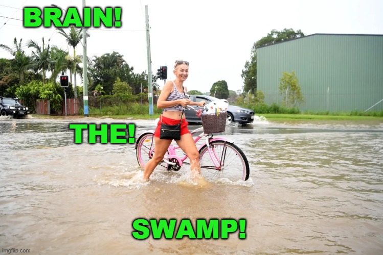 BRAIN! SWAMP! THE! | made w/ Imgflip meme maker