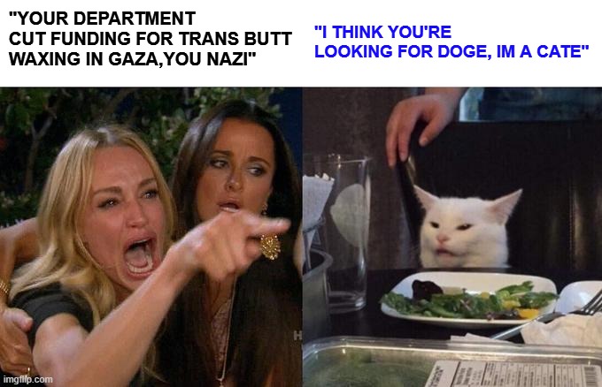 DOGES VS CATES | "YOUR DEPARTMENT CUT FUNDING FOR TRANS BUTT WAXING IN GAZA,YOU NAZI"; "I THINK YOU'RE LOOKING FOR DOGE, IM A CATE" | image tagged in memes,woman yelling at cat,doge | made w/ Imgflip meme maker