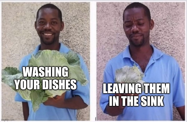 Wash ur dishes!! | WASHING YOUR DISHES; LEAVING THEM IN THE SINK | image tagged in cabbage comparison | made w/ Imgflip meme maker