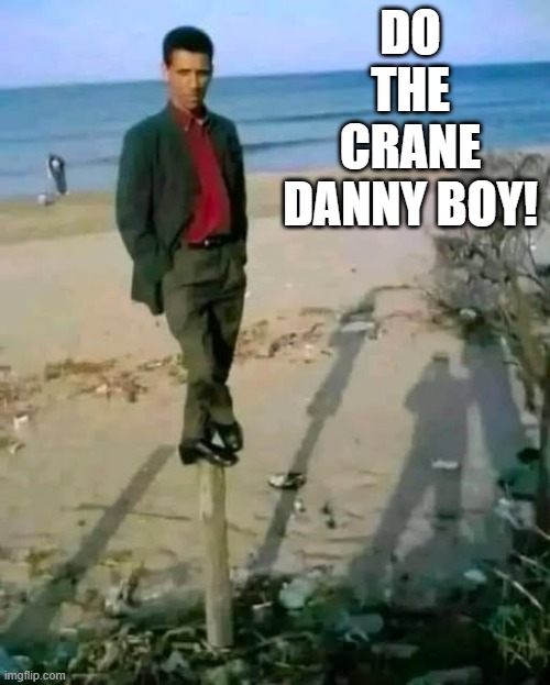 Balance | DO THE CRANE DANNY BOY! | image tagged in funny,memes | made w/ Imgflip meme maker