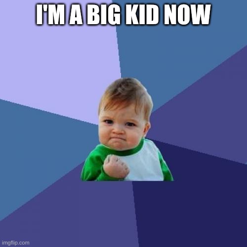 Success Kid Meme | I'M A BIG KID NOW | image tagged in memes,success kid | made w/ Imgflip meme maker