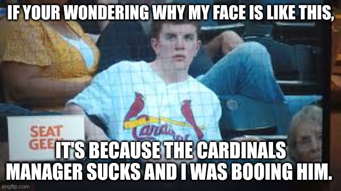 Arizona | IF YOUR WONDERING WHY MY FACE IS LIKE THIS, IT'S BECAUSE THE CARDINALS MANAGER SUCKS AND I WAS BOOING HIM. | image tagged in st louis cardinals,baseball,arizona | made w/ Imgflip meme maker