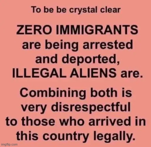 Illegal means prohibited and unacceptable... | image tagged in illegal aliens,wait that's illegal,modern problems,something's wrong i can feel it | made w/ Imgflip meme maker