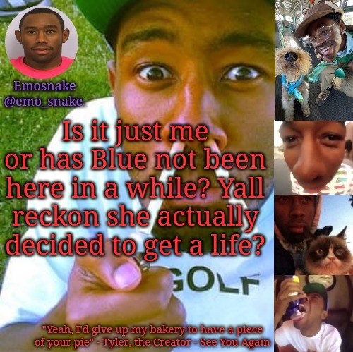 Emosnake's Tyler the Creator temp | Is it just me or has Blue not been here in a while? Yall reckon she actually decided to get a life? | image tagged in emosnake's tyler the creator temp | made w/ Imgflip meme maker
