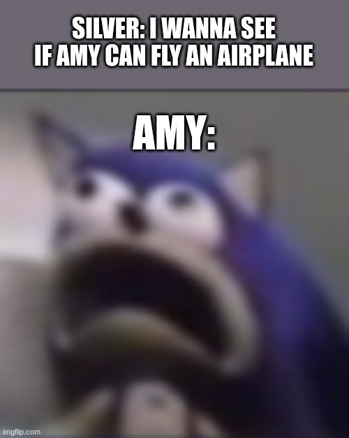 distress | SILVER: I WANNA SEE IF AMY CAN FLY AN AIRPLANE; AMY: | image tagged in distress | made w/ Imgflip meme maker