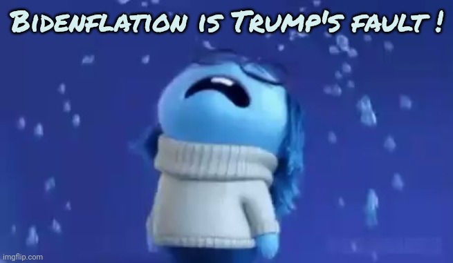 Bidenflation is Trump's fault ! | made w/ Imgflip meme maker