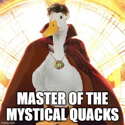 Dr. StrangeDuck | MASTER OF THE MYSTICAL QUACKS | image tagged in ducks | made w/ Imgflip meme maker