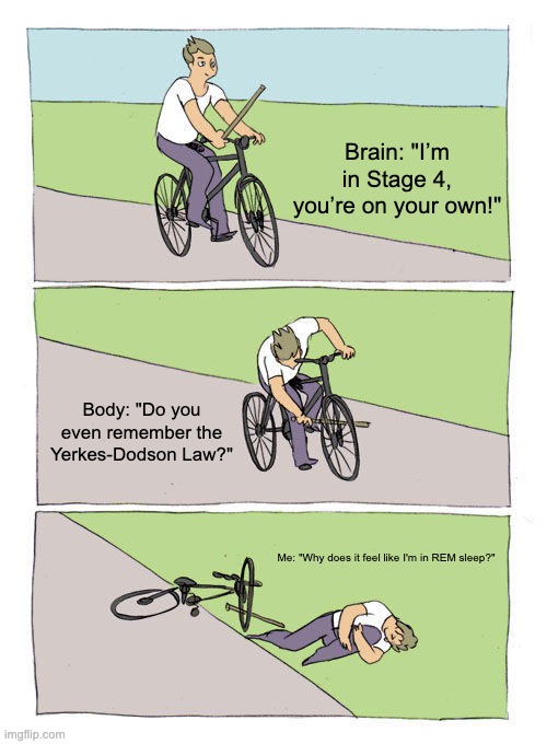 When you try to study for an exam after 3 hours of sleep: | Brain: "I’m in Stage 4, you’re on your own!"; Body: "Do you even remember the Yerkes-Dodson Law?"; Me: "Why does it feel like I'm in REM sleep?" | image tagged in memes,bike fall | made w/ Imgflip meme maker