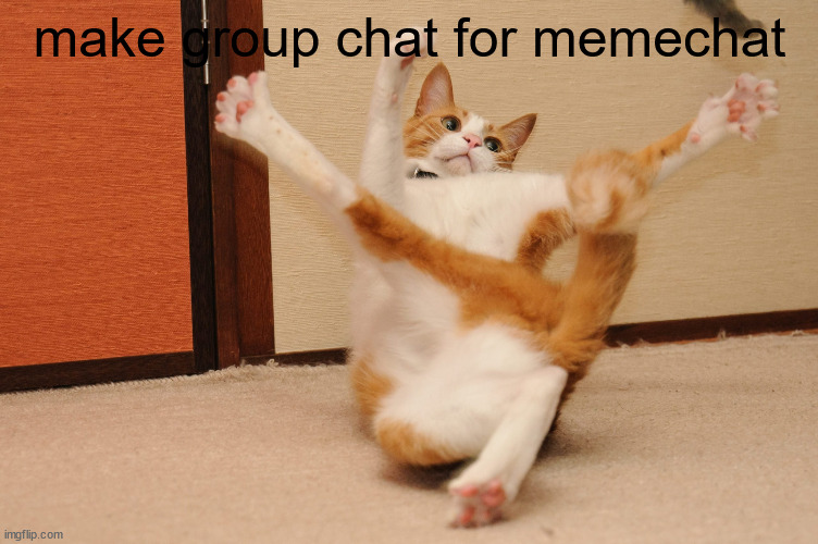 srysly | make group chat for memechat | image tagged in twisted cat,new feature,ideas | made w/ Imgflip meme maker