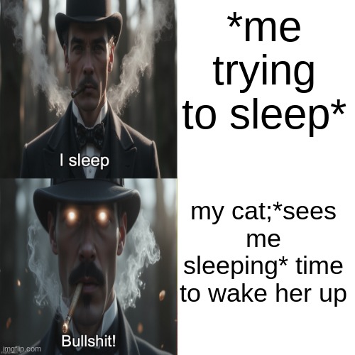 its so annoying | *me trying to sleep*; my cat;*sees me sleeping* time to wake her up | image tagged in i sleep bullshit | made w/ Imgflip meme maker