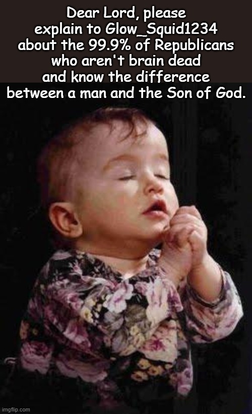 Baby Praying | Dear Lord, please explain to Glow_Squid1234 about the 99.9% of Republicans who aren't brain dead and know the difference between a man and t | image tagged in baby praying | made w/ Imgflip meme maker