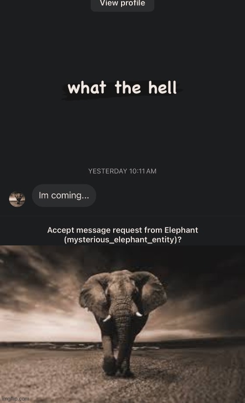 image tagged in mysterious elephant entity | made w/ Imgflip meme maker
