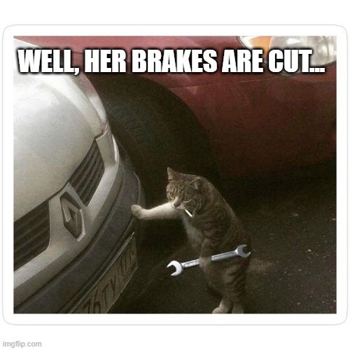 Killer Cat | WELL, HER BRAKES ARE CUT... | image tagged in cats | made w/ Imgflip meme maker