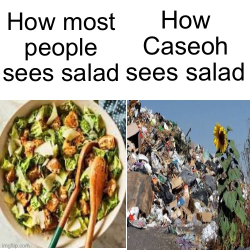 Blank Transparent Square | How Caseoh sees salad; How most people sees salad | image tagged in memes,caseoh,salad | made w/ Imgflip meme maker