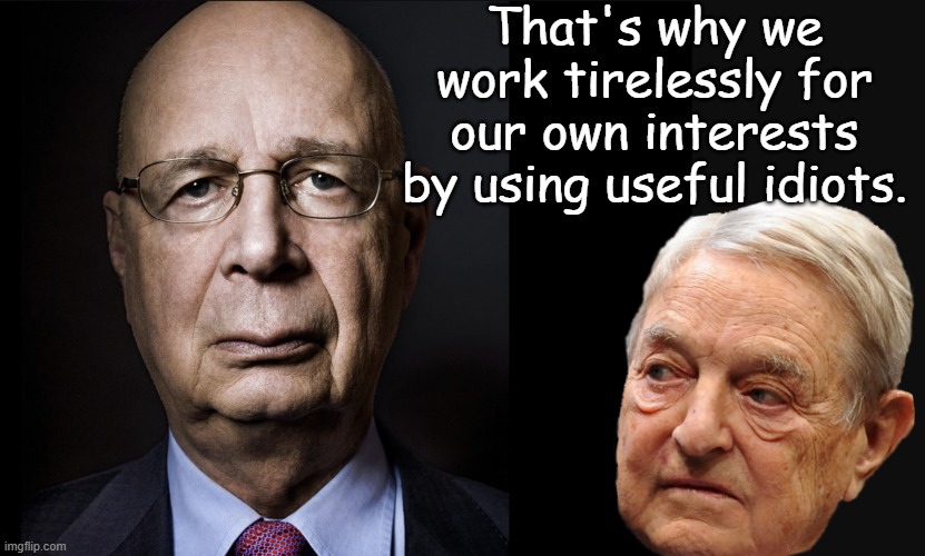 Klaus Schwab | That's why we work tirelessly for our own interests by using useful idiots. | image tagged in klaus schwab | made w/ Imgflip meme maker