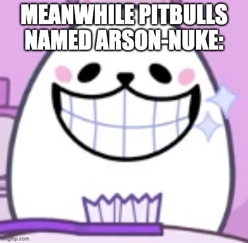 eggdog smiling | MEANWHILE PITBULLS NAMED ARSON-NUKE: | image tagged in eggdog smiling | made w/ Imgflip meme maker