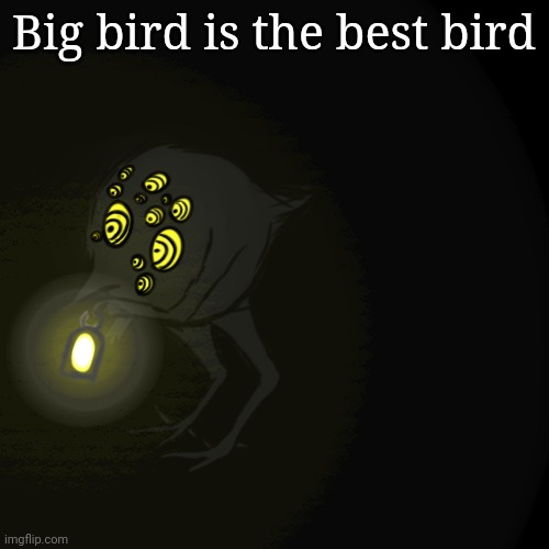 Big bird is the best bird | made w/ Imgflip meme maker