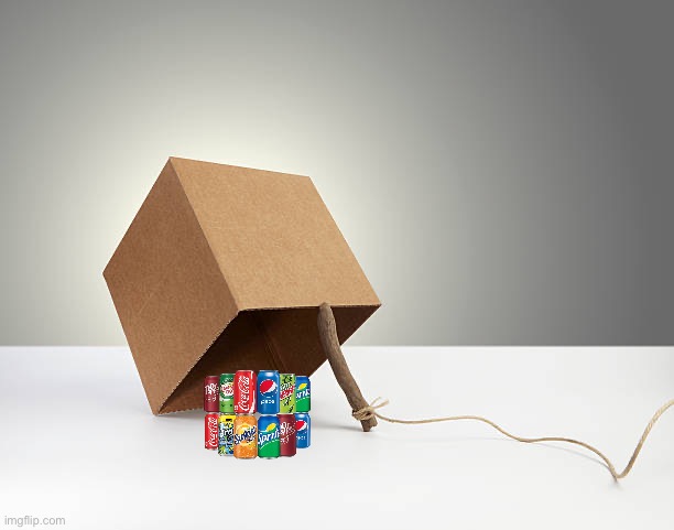 Box trap | image tagged in box trap | made w/ Imgflip meme maker