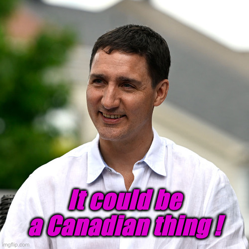 Trudeau's fuctard haircut | It could be a Canadian thing ! | image tagged in trudeau's fuctard haircut | made w/ Imgflip meme maker