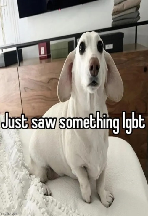 Just saw something lgbt | image tagged in just saw something lgbt | made w/ Imgflip meme maker